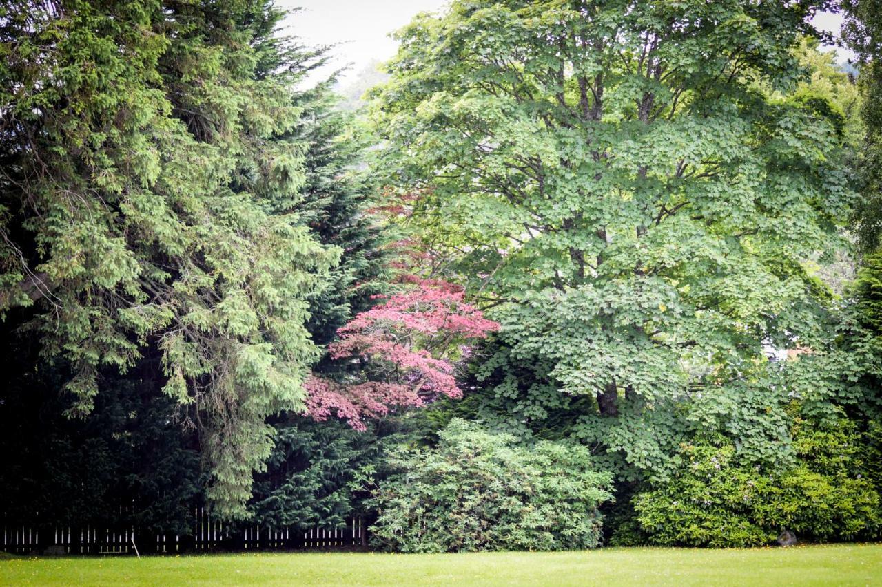 アレクサンドリアBenoch Lomond Castleアパートメント エクステリア 写真